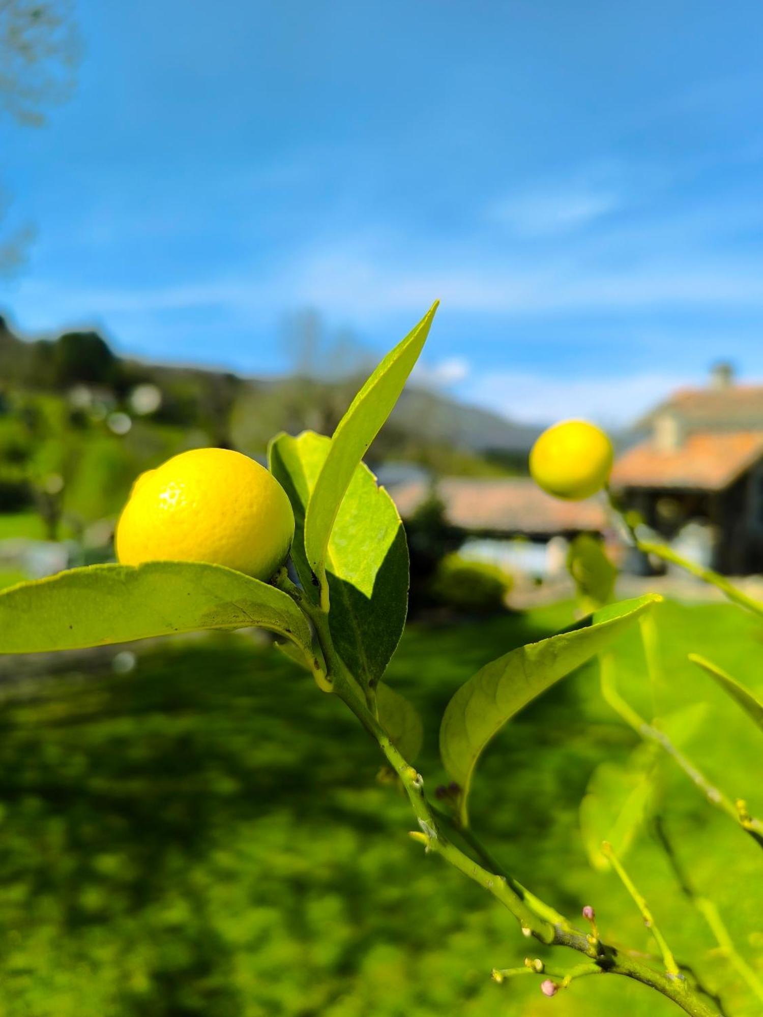 La Babounette Jaujac Bagian luar foto