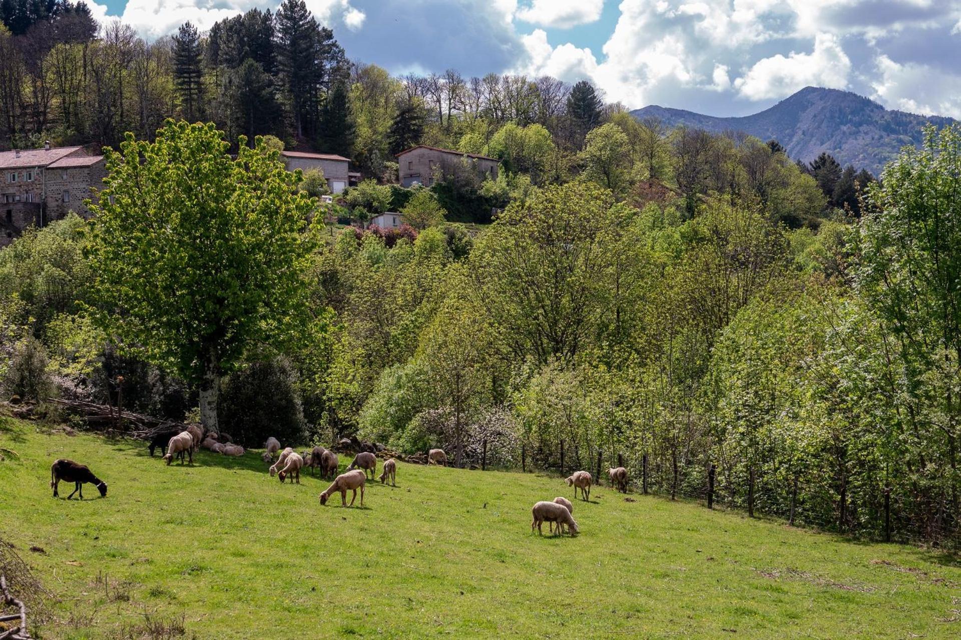 La Babounette Jaujac Bagian luar foto